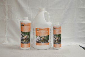 Barley Extract
